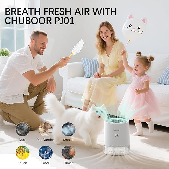 Chuboor Air Purifiers for Home Bedroom, H13 True HEPA Filter Air Cleaner for Pets Office desktop Living Dorm Room Smoke Kitchen, Auto Mode, Sleep Mode, PJ01A, White