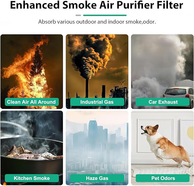 Core 300 Pet Care Replacement Filter for LEVOIT Core 300/300-P / 300S-P / 300S VortexAir Air Purifier,300 Pet Aller-gy Air Filter, 3 in 1 H13 True HEPA Filter,300-RF-PA, 2Pack