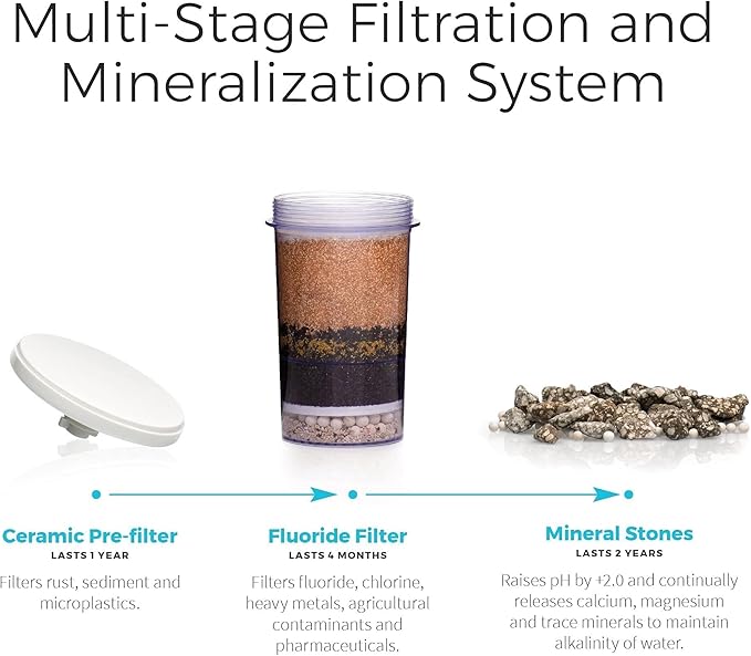 Santevia Gravity Water System Filter | at Home Water Filter That Makes Water Alkaline and Adds Minerals | Chlorine and Fluoride Filter (Countertop Model)