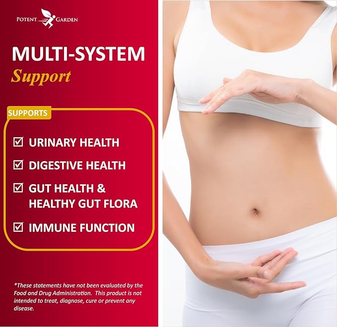 Potent Garden Urinary Support Womens Probiotic for Urinary Tract Health for Women, Cranberry Capsules with 5 Billion CFUs Cranberry Extract, Prebiotics and Probiotics for Women, 60 Caps, 30 Servings