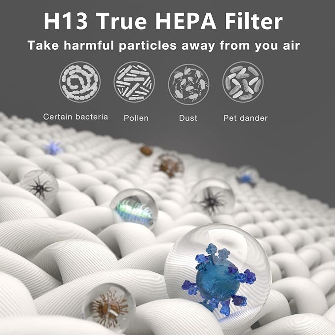 2 Pack PR1 Replacement Filter, Compatible with MOOKA PR1 Air Purifier, H13 True HEPA Filter for Home Large Room, Removes Pollen Dander Smoke Pet Hair Dust (includes 6pcs Washable Pre Filter)