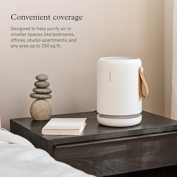 Molekule Air Purifier Mini+ - Purifies Rooms Up to 250 Sq Ft - Smart Purifier with High Pollutant Capture Rate - Air Quality Monitoring Capabilities - White