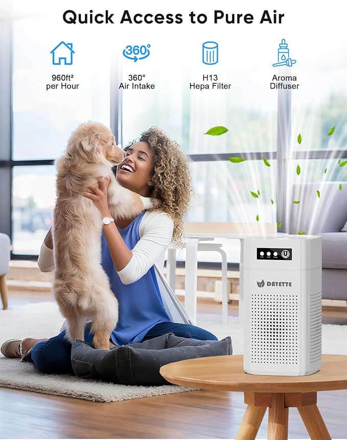 Air Purifiers for Bedroom, DAYETTE H13 True HEPA Air Filter Purifier for Small Room Up to 960 Ft², Qiuet Sleep Mode with Aroma Pad, Small Portable Air Purifier with USB Cable