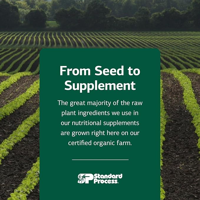 Standard Process Cataplex E - Whole Food RNA Supplement and Antioxidant with D-Alpha Tocopherol Vitamin E, Beet Root, Ascorbic Acid, Inositol, Selenium, and Honey - 360 Tablets