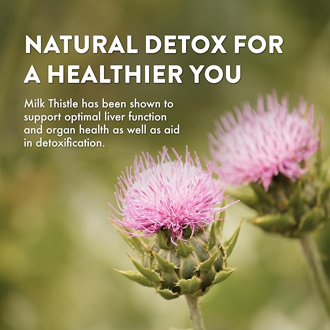Mt. Angel Vitamins' Milk Thistle - Vegetarian Liver Support Supplement - Optimal Liver Health & Herbal Detox - Non-GMO & Gluten-Free - Made in The USA - 60 Capsules