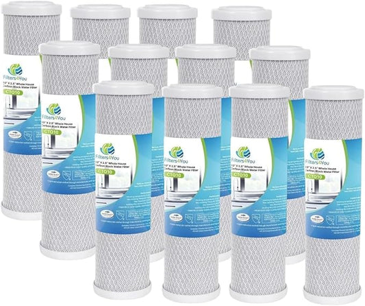 CFS – 12 Pack Carbon Block Water Filter Cartridge Compatible with Hydro Life 52418 C-2471 Models – Removes Bad Taste and Odor – Whole House Replacement Filter Cartridge – 1 Micron