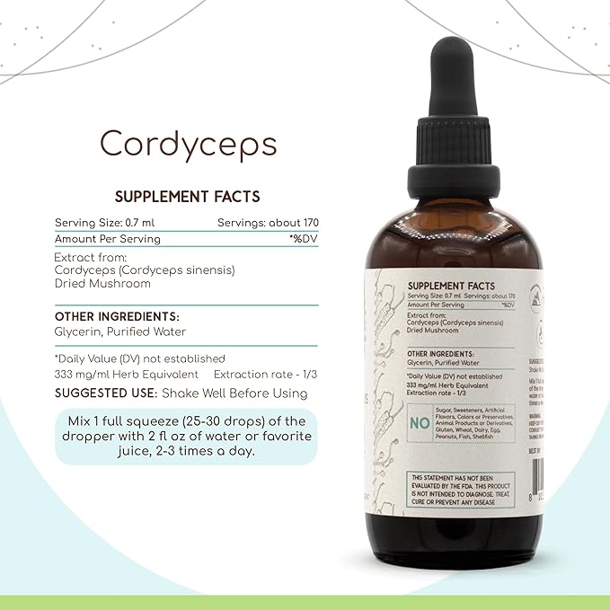 Cordyceps B120 Alcohol-Free Herbal Extract Tincture, Concentrated Liquid Drops Natural Cordyceps (Cordyceps Sinensis) Dried Mushroom (4 fl oz)