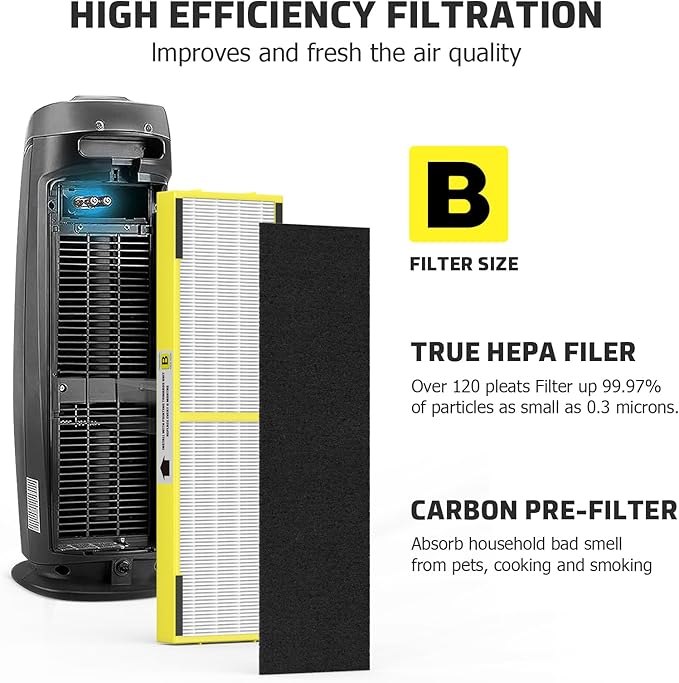 2 Pack FLT4825 HEPA Replacement Filter B Compatible With Guardian Air Cleaner Purifier AC4825 AC4300 AC4800 AC4900 AC4850, 2 Pack HEPA Filter B with 6 Carbon filters