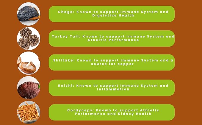 Hongo Mushroom Power - Perfect 10 Mushroom Complex Powder - Lions Mane, Reishi, Cordyceps, Chaga, Turkey Tail, Maitake Supplements - for Immunity, Energy, Memory & Focus - (60 Servings)