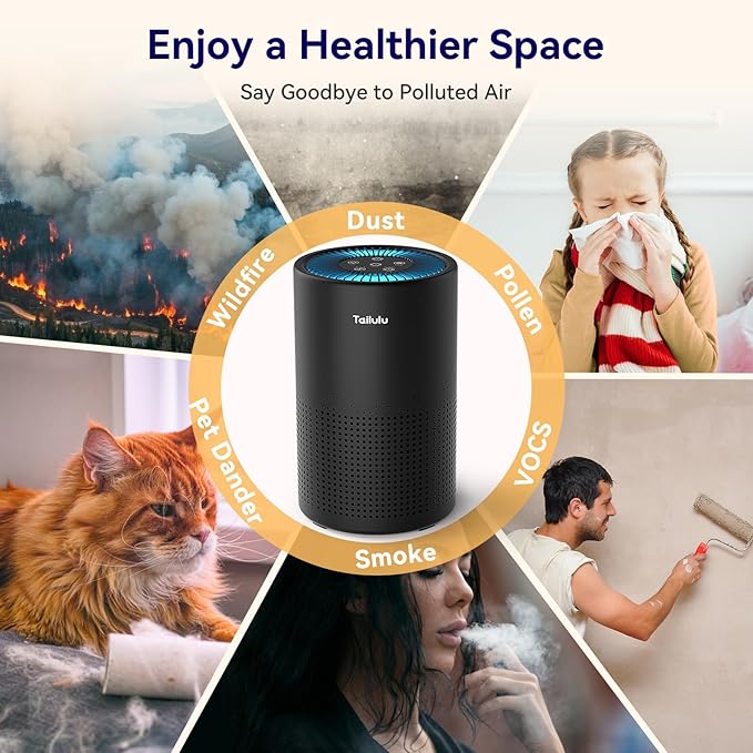 Air Purifiers for Bedroom Home, Tailulu H14 True HEPA Air Purifier Filter, Quiet Air Cleaner With 12dB Sleep Mode Night Light Speed Control Timer, Portable Small Air Purifier For Allergies Pets, AP052