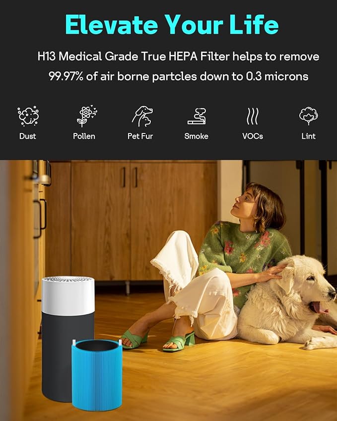 Leemone Blue Pure 411 Series AllergenBlock Filter Compatible with Blueair Blue Pure 411, 411 Auto, 411+ Air Purifier, 2 Pack