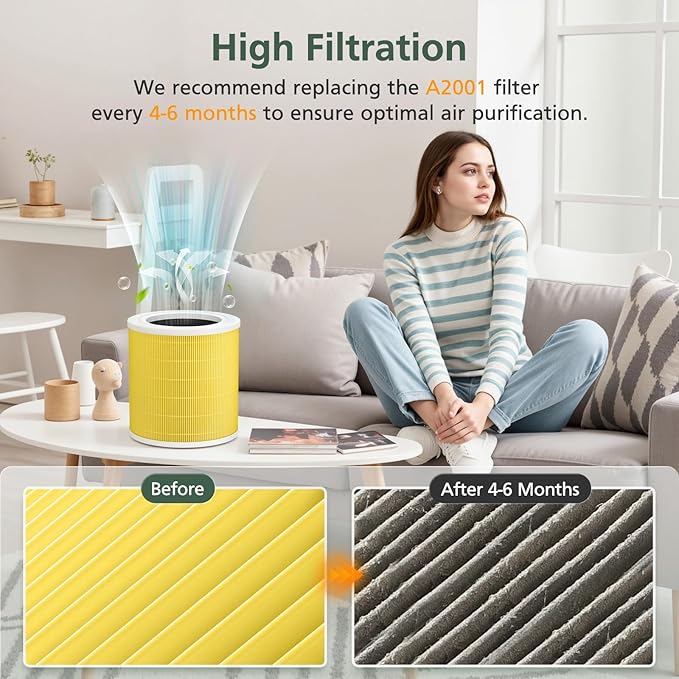 A2001 Replacement Filter Compatible with A2001 Air Purifier, 3-In-1 Efficient Filtration Activated Carbon Filter, Compared to Part #AF-2001, Pets Filter