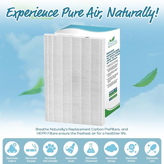 Breathe Naturally Replacement Filters Compatible with Winix C535, Plasmawave 5300, 6300 and Aeramax 300/290 Air Purifiers - True HEPA Filters for Home Purifiers - 12.6" x 16.3" x 1.25" (1 HEPA Filter)