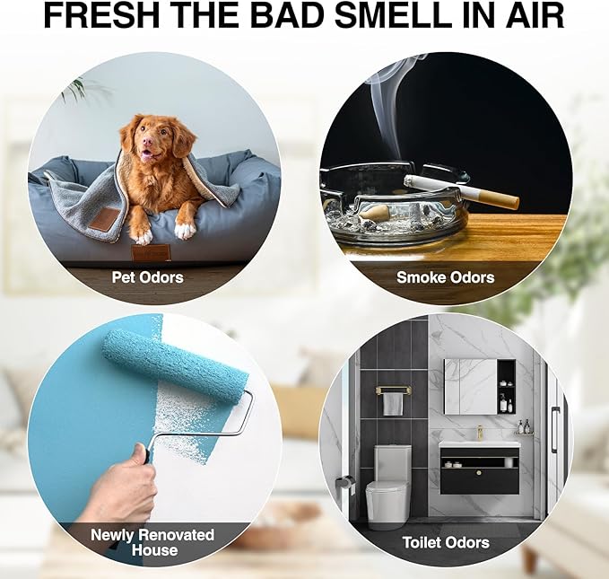 Ozone Generator – 80,000mg/h High-Capacity O3 Air Purifier for Odor Control Home, Kitchen, Car, Office, Basement, Pets, and Smoke – Covers Up to 6,000 Sq Ft