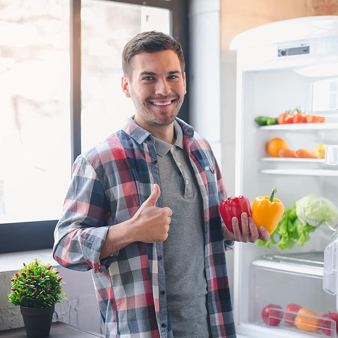 GLACIER FRESH Replacement for Sub-Zero Refrigerator Air Purification Cartridge 7042798, 7007076, 7007067 Air Filter (1 Pack)