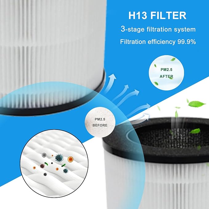 Replacement Air Filter A10 Compatible With GANIZA A10 AIR Purifier,H13 True HEPA Activated Carbon Filter(2-Pack)