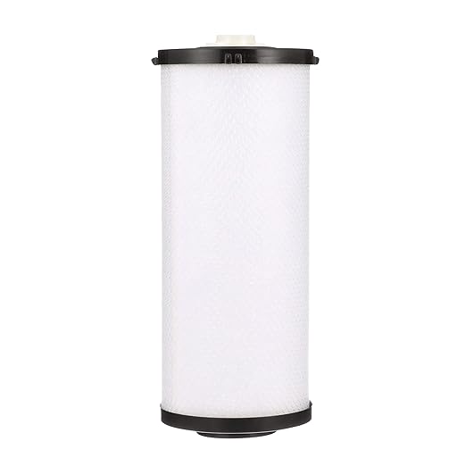 Watts Premier Cartridge Combo Water Replacement Pack, 1 Radial Flow Carbon Block Cartridge and 1 TAC Cartridge for OneFlow Plus System, OFPSYS, Reduce Chlorine Taste and Odors