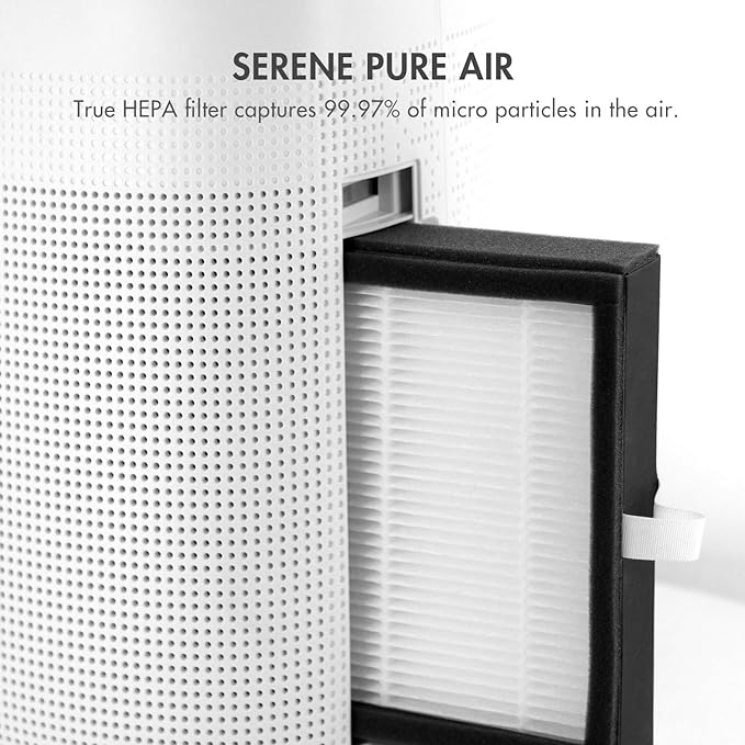 Tenergy Sorbi 1000ml Air Dehumidifier w/Purifying Function, True HEPA Filter, Auto Shutoff, Touch Control Adjustable Air Speed, Ultra-Quiet, Ideal for Closets & Bathrooms