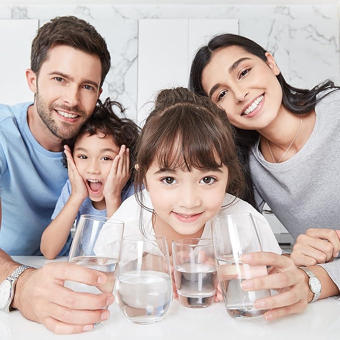 W10295370A Water Filter for Everydrop filter 1 Whirlpool Refrigerator Replacement Compatible with EDR1RXD1, Filter 1, WHR1RXD1, W10295370, KAD1RXD1, P8RFWB2L, P8WB2L, P4RFWB (White, 2 Pack)