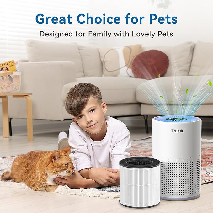 Tailulu Official AP050 AP052 Air Purifier Replacement Filter, 3-in-1 Air Purifier Filter, True H13 HEPA Filter, 1Pack