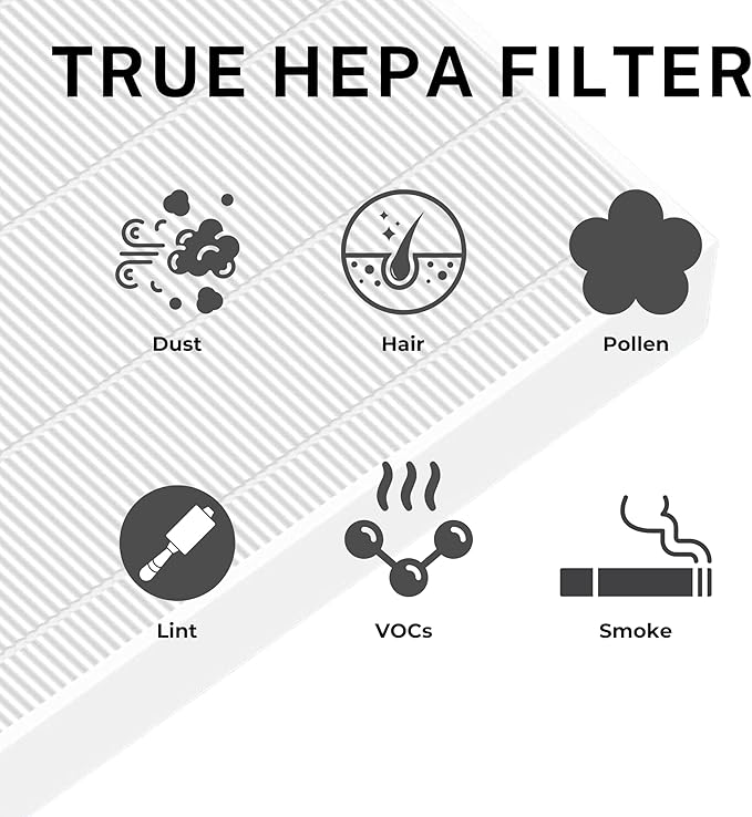 Nispira C545 HEPA Filter Replacement Ture HPEA For Winix C545 Air Purifier, P150, B151, 9300, Part Filter S 1712-0096-00 & 2522-0058-00, 113050 2 Sets