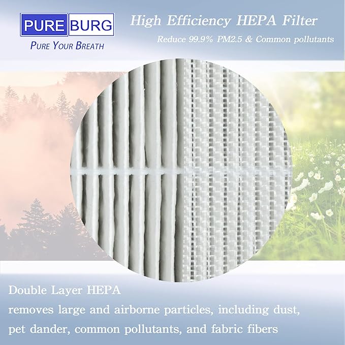 PUREBURG Replacement Filter Compatible with COLZER EPI-186 Air Purifier,2-Pack H13 HEPA Activated carbon 2-IN-1 4-Stage Filtration Air Clean Dust VOCs