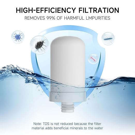 Stainless Steel Water Filter for Sink Faucet, Water Purifier for Kitchen Sink, Reduces PFAS, Lead, Chlorine & Microplastics, 350 Gallons Long-Lasting for Kitchen & Bathroom, 2 Filters