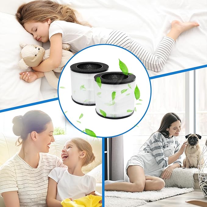 Replacement Air Filter A10 Compatible With GANIZA A10 AIR Purifier,H13 True HEPA Activated Carbon Filter(2-Pack)