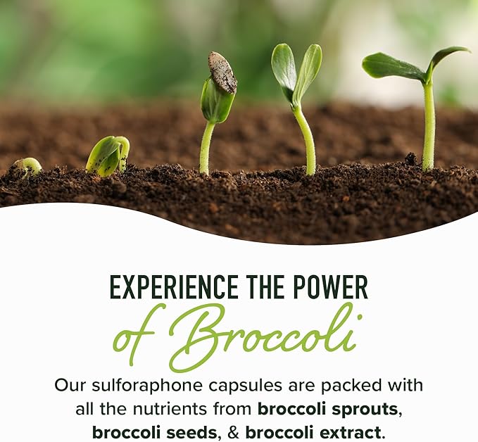 50MG Sulforaphane Supplement from Broccoli Sprouts | NRF2 Activation with Glucoraphanin, Myrosinase & Antioxidants | Support Cellular & Immune Health | Broccoli Seed Microbeadlets, Vegan 60 Count