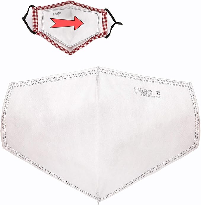 24 PCS New 3D Cutting PM 2.5 Activated Carbon Filter, 5 Layers 3D Pm2.5 Filter Insert Dustproof Air Pollution Replaceable Protective Filter Large Size