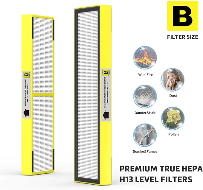 SAKEGDY FLT4825 HEPA Replacement Filter B Compatible with Guardian Air Cleaner Purifier AC4825 AC4300 AC4800 AC4900 AC4850, 6 Pack HEPA Filter B with 6 Carbon Filters