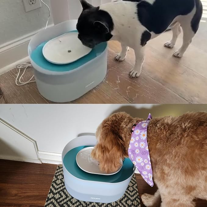 12-Pack Replacement Filters for Petlibro Capsule Dog Fountain PLWF008, Dog Water Dispensers Filter