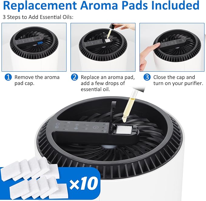 2 Pack MK01 MK06 True HEPA Replacement Filter Compatible with AROEVE MK01 MK06 and Kloudi DH-JH01 Air Purifier, Pet Dander Version