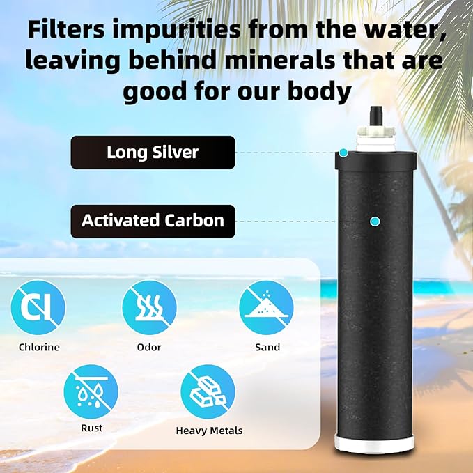 Water Filter Replacement for Berkey® BB9-2® Purification Elements Black Filter, Compatible with Berkey® Gravity Fed Water Filtration System, Pack of 2