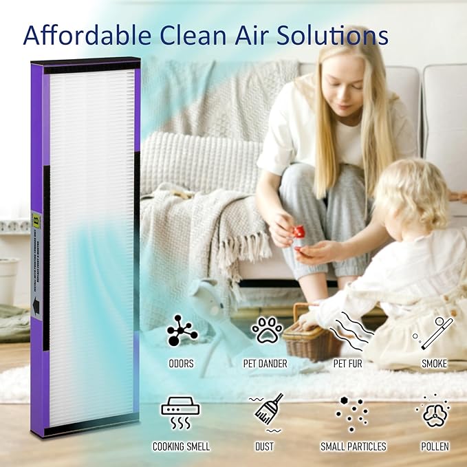 FLT4850PT H13 True HEPA Replacement filter B, compatible with Guardian AC4850PT AC4825 AC4900 CDAP4500AC4300, Pack of 2 HEPA Filter and 6 Carbon Pre-Filters