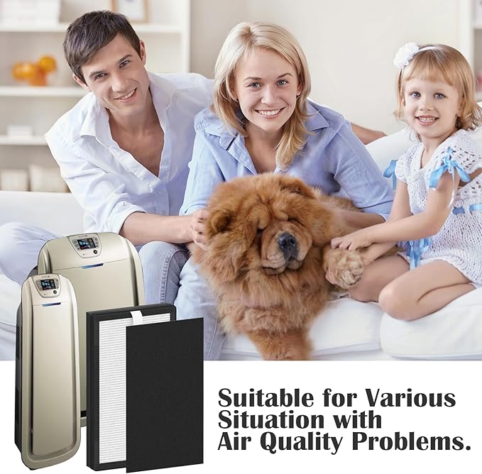 2 Packs IAF-H-100C Replacement Filter C Compatiable with Idylis IAP-10-280, IAP-10-200 Air Cleaner Purifier, 2 Pack Premium Filters & 2 Activated Carbon Pre-Filters