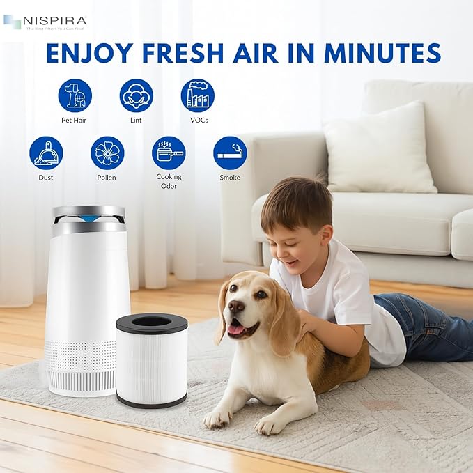 Nispira TD-1300 CL-6070A TAP01 4-in-1 True HEPA Replacement Filters Compatible with Tredy TD-1300, Tenergy Renair, Cool-Living, BEABA Nursery Air Purifier, 1 Pack