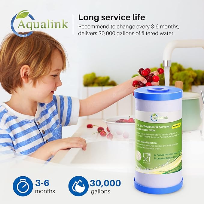 PP10BB-CC 5 Micron 10" x 4.5" Whole House Sediment Activated Carbon Water Filter Replacement for GE FXHTC, GXWH40L, GXWH35F, GNWH38S, RFC-BBSA, W50PEHD, DuPont WFHD13001