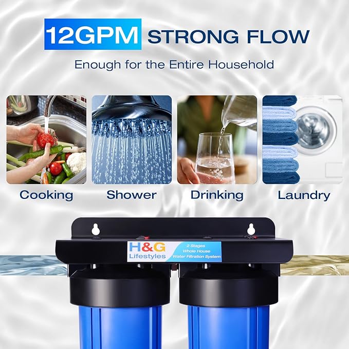 H&G Lifestyles Whole House Water Filter System,2 Stage Home Water Filtration with Carbon Sediment Filters, Remove Chlorine Odor Heavy Metal Lead Sediment for Drinking Water,4.5" x10“ Cartridge