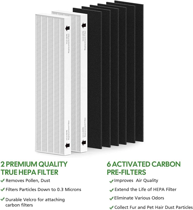 2 Pack Replacement Filter for Fellowes AeraMax 90/100/DX5/DB5 Purifier, Fits Part# 9287001 & 9324001, 2 Filter and 6 Carbon filter