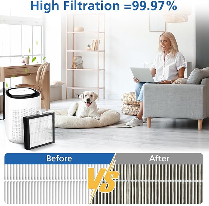 4 Pack DH02 H13 HEPA Replacement Filter Compatible with Tenergy Sorbi DH02 2 in 1 Dehumidifier(1000ML)/Air Purifier, Afloia AQ8 Q8/ Honati/Hysure Q7 Air Purifier
