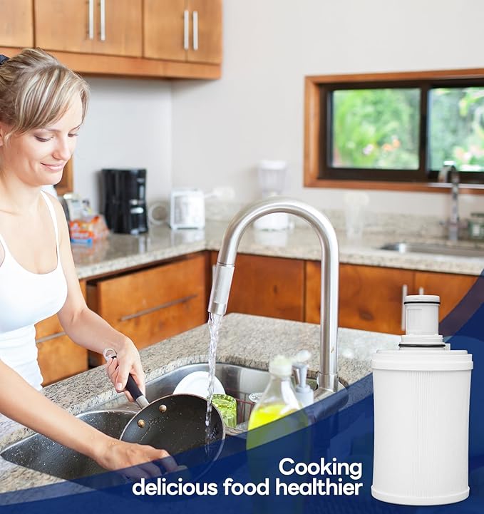 100186 Water Filter Cartridge for Amway Espring Filter, 3-in-1 Water Filter Replacement Part, 6 Levels Filtration for Removing Odors Heavy Metal Residual Chlorine in Water