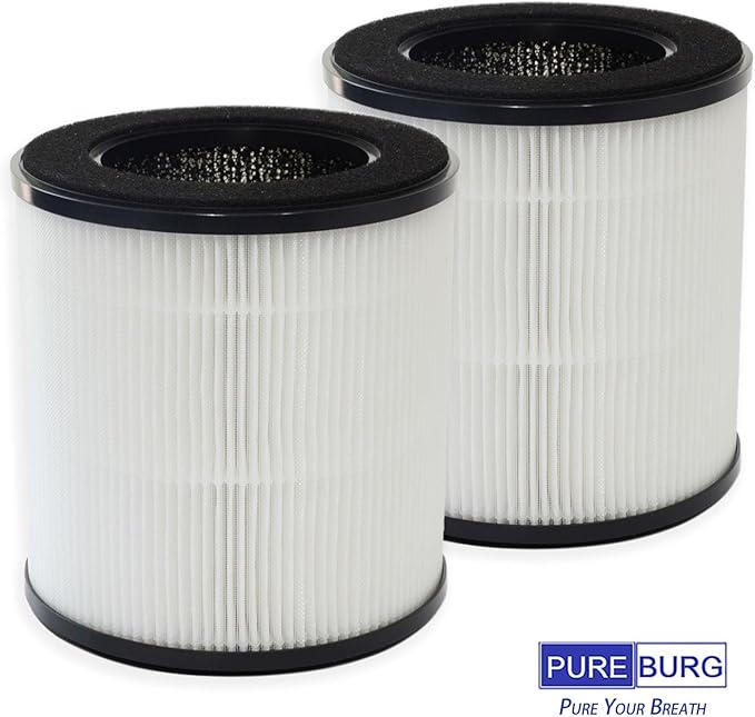 PUREBURG Replacement True HEPA Filter Compatible with DIKI & VAVSEA B-D02H Air Purifier, 2-Pack H13 4-Stage Filtration Activated carbon 2-IN-1