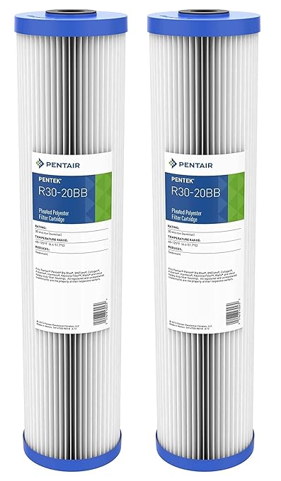 Pentair Pentek R30-20BB Big Blue Sediment Water Filter, Whole House Pleated Polyester Filter Cartridge, 20" x 4.5", 30 Micron, Pack of 2