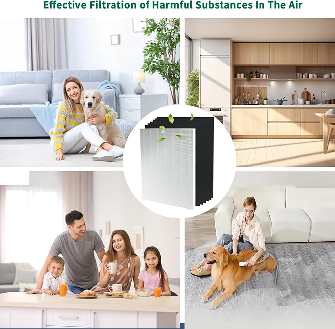 D480 H13 True Hepa Replacement Filter D4, Compatible with Winix D480 Air Purifier, 1 True HEPA+6 Carbon Filters, Part Number 1712-0100-00, True HEPA D4 Filter.