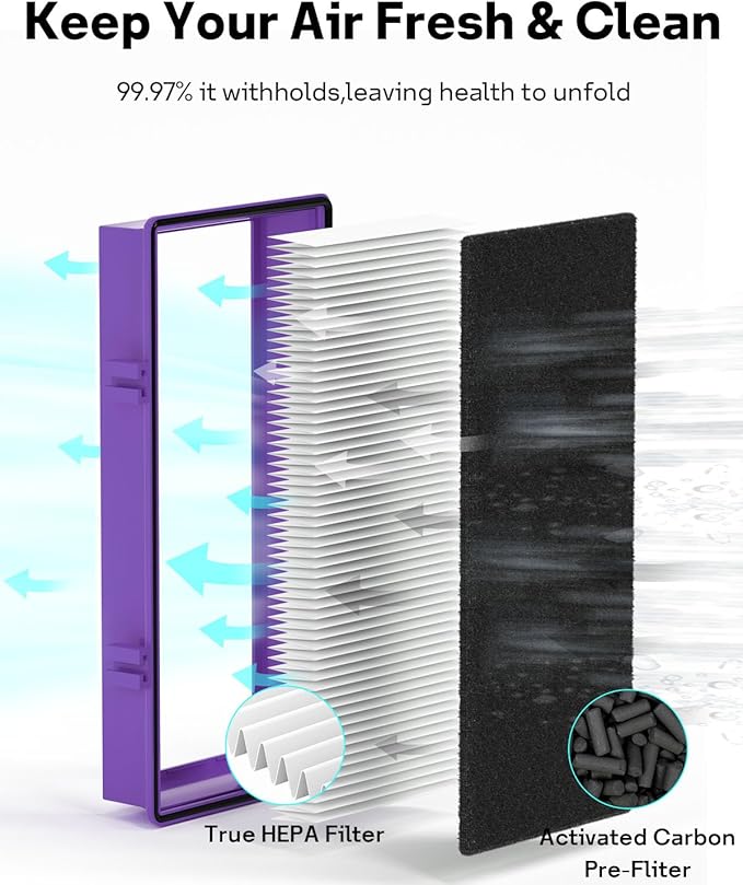 Performance Plus Aer1 Filter Replacement for Holmes Air Purifiers, 2 True HEPA Filters + 4 Carbon Booster Filters, HAPF300AP-U4