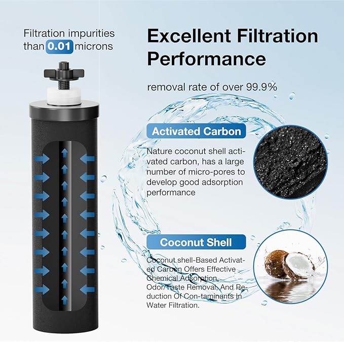 Black Filters Fluoride Combo Pack,Replacement Filters for ProOne® and Berkey® Countertop Gravity Water Filter System(2&2 Pack)
