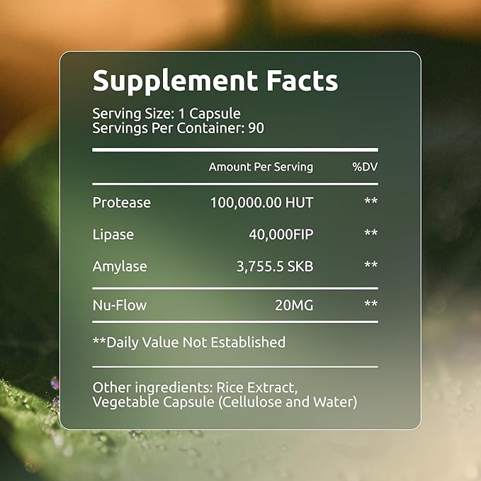 Digestive Enzymes | 40,000 USP Lipase - Prescription Strength Pancreatic Enzyme Replacement Formula for Fat Digestion, Gut Health & Nutrient Absorption - Fermented, Vegan, High Potency