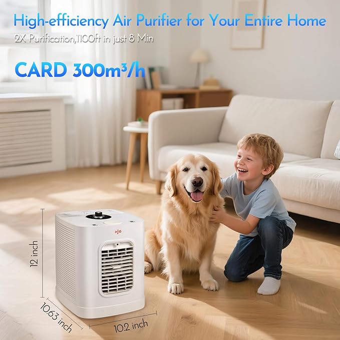 Small Air Purifiers for Home Large Room Covers Up to 1100 Ft², H13 HEPA Double-Sided Air Filter Purifier, Air Cleaner for Pets, Stackable Air Cleaner for Home, Office, Living Room