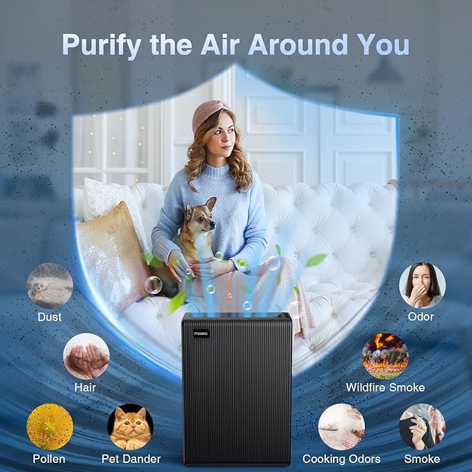 Air Purifiers for Home Large Room up to 2000ft², H13 HEPA Air Filter for Pets Hair Dander Smoke Pollen Dust, Non-Ozone, Portable Air Purifiers for Bedroom Office Living Room, E-300L(Black)